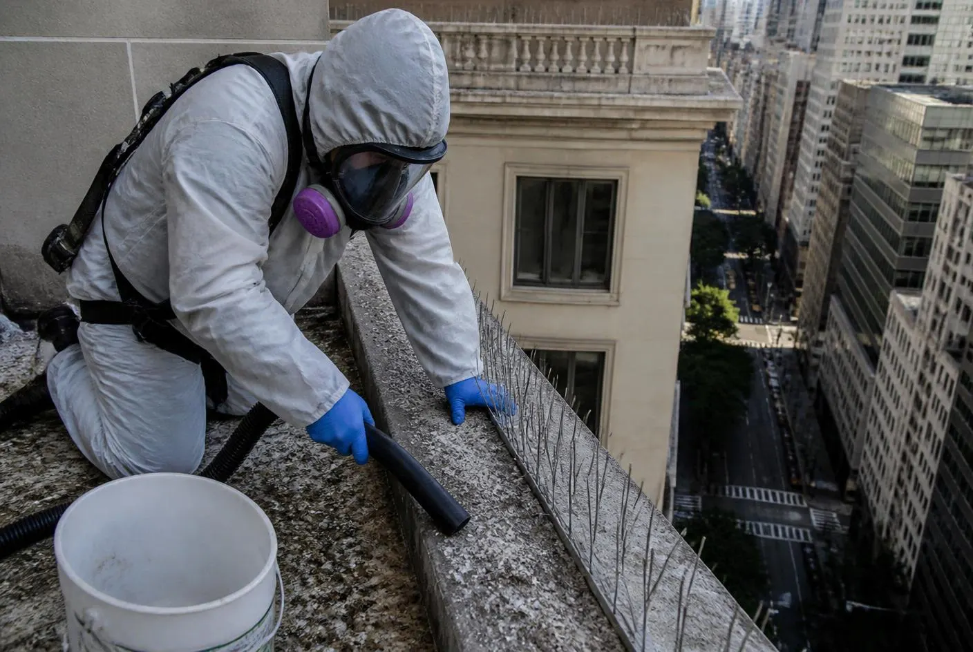 Taubenkotentfernung Wien – Clean4You reinigt und desinfiziert einen Balkon